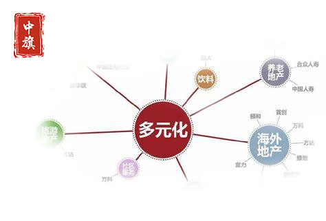 多元化企業(yè) 多元化企業(yè)