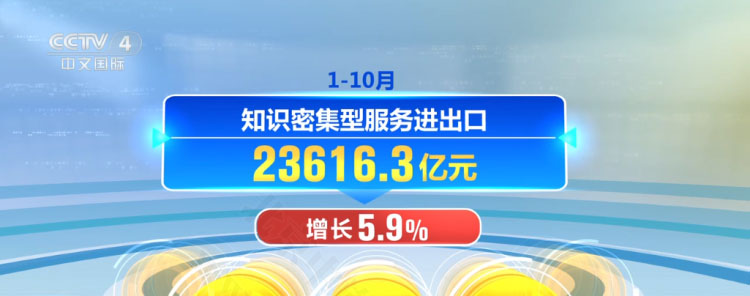 知識密集型服務(wù)進(jìn)口增長5.9%.jpg