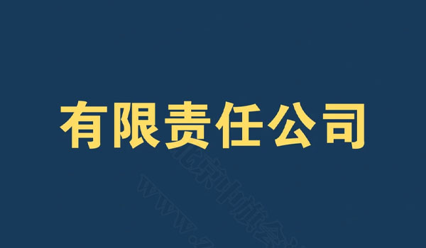 有限責(zé)任公司.jpg