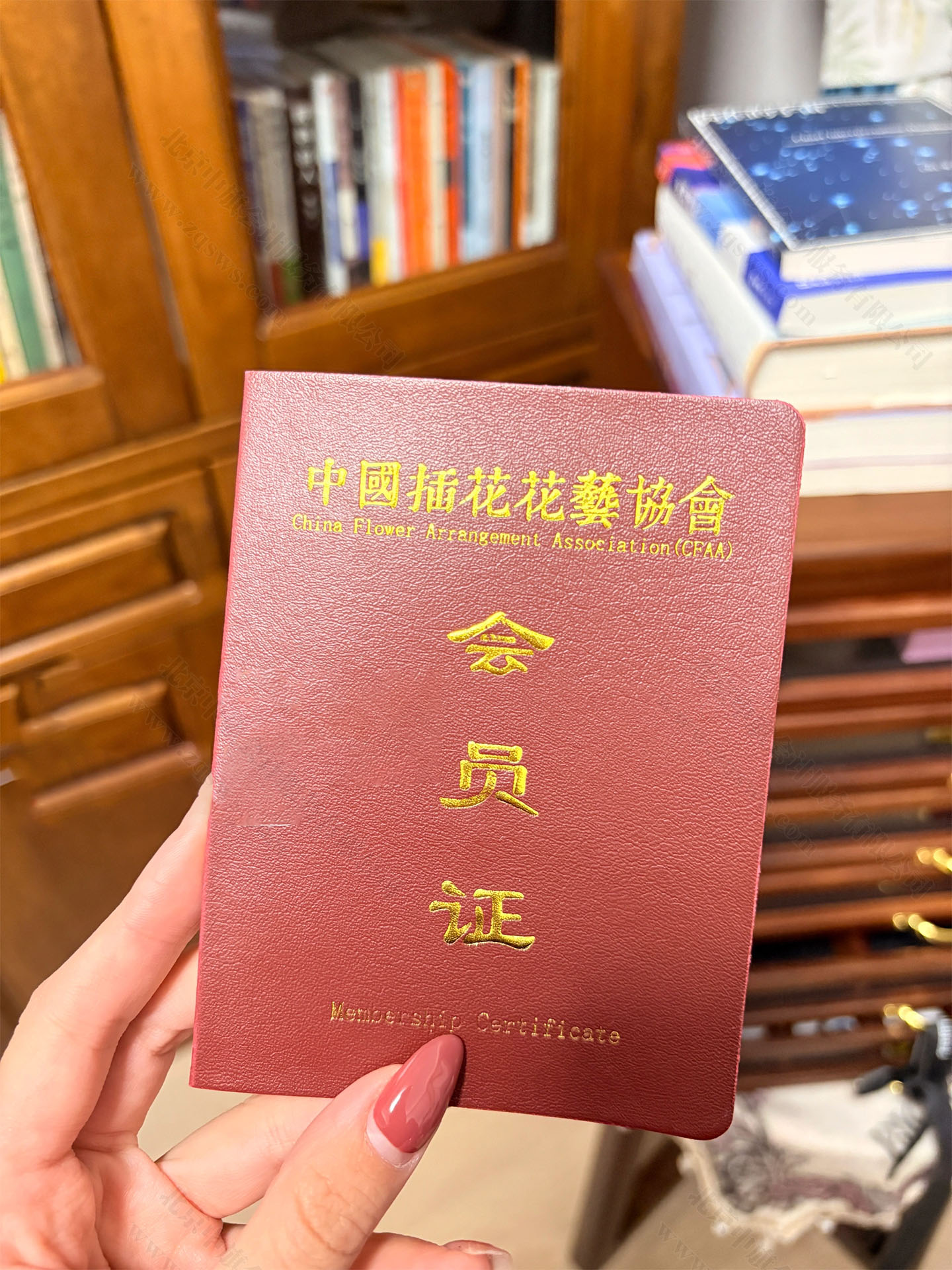 中國插花花藝協(xié)會(huì)會(huì)員證.jpg 中國插花花藝協(xié)會(huì)會(huì)員證.jpg