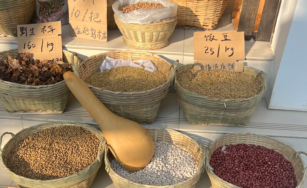 自家賣的種子 自家賣的種子